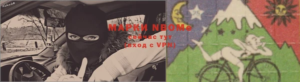 тгк Богородицк