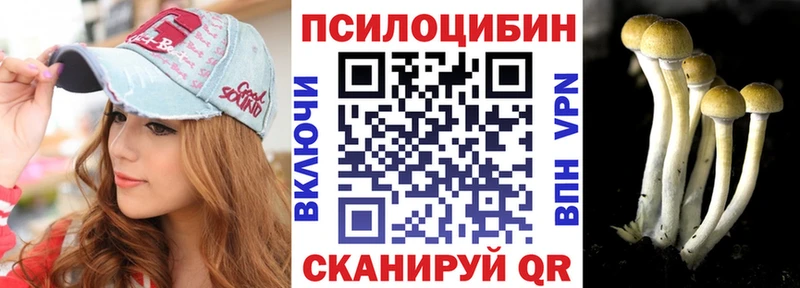 Галлюциногенные грибы Psilocybe  Биробиджан 