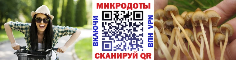 Галлюциногенные грибы Psilocybine cubensis Биробиджан